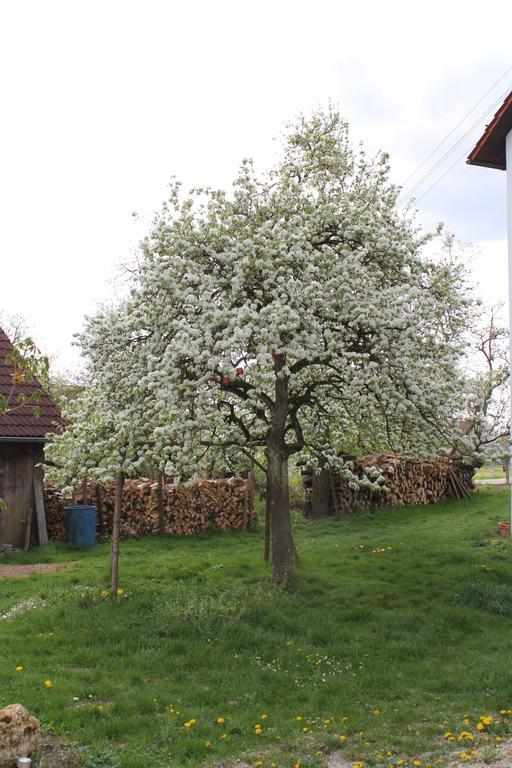 Landgasthof Weberhans Harburg (Bavaria) Exterior foto